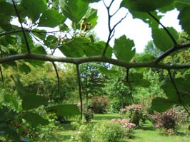 jardin1.jpg