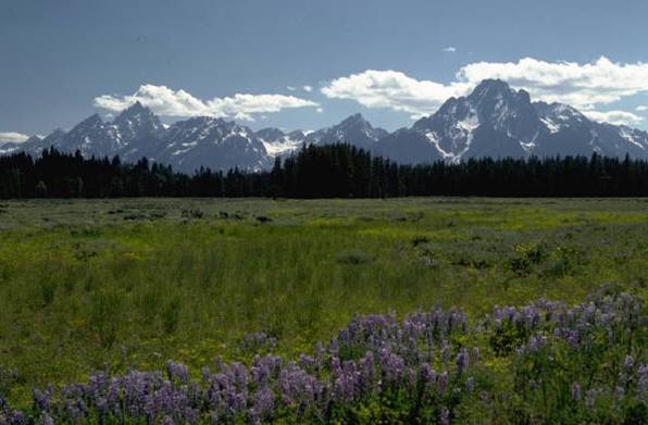 image1.jpg