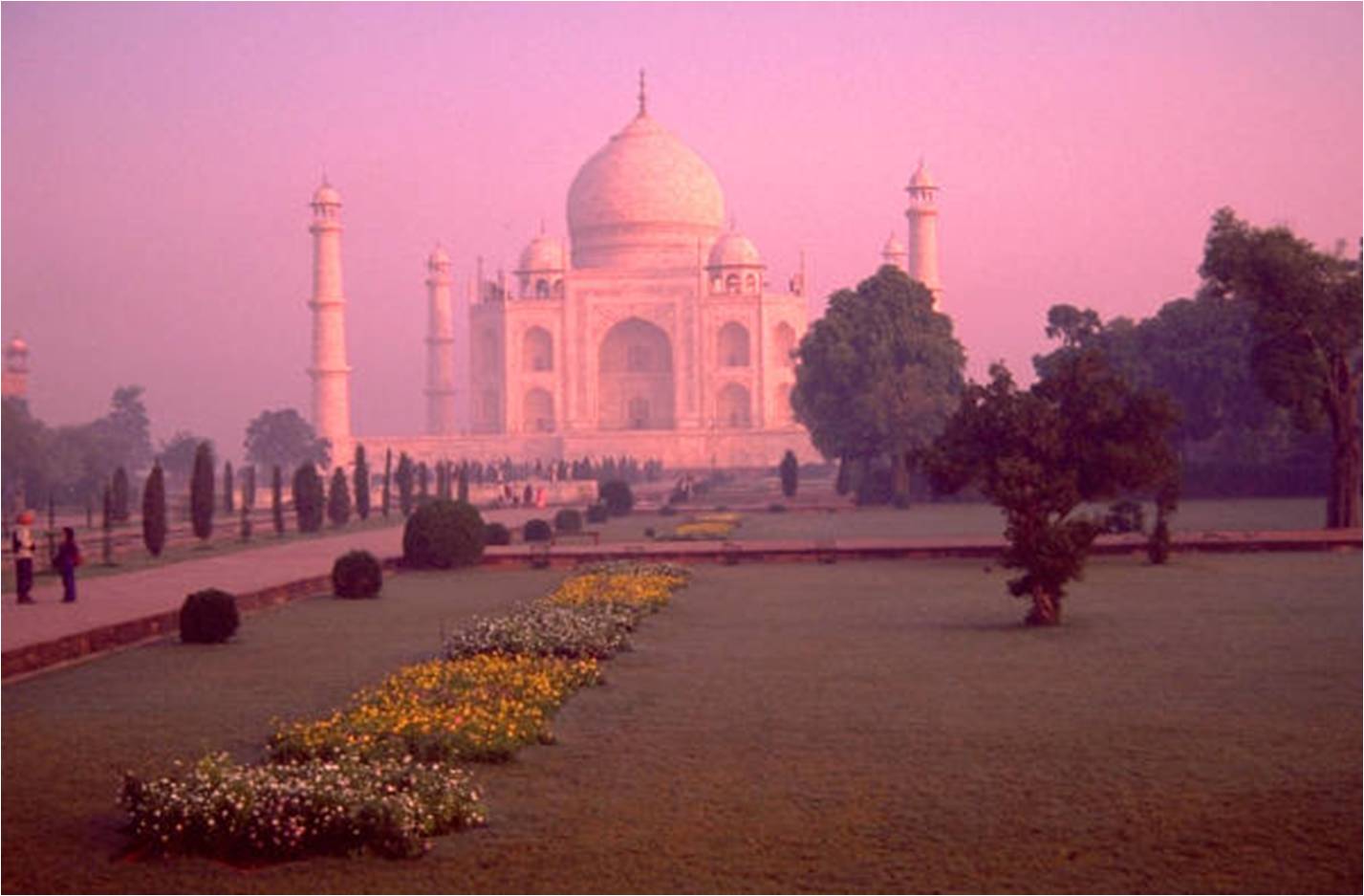 image2.jpg